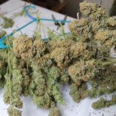 How to cure weed in a brown paper bags – Drying Nugs