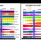 Cannabis PH – Best PH Level For Growing Potent Cannabis